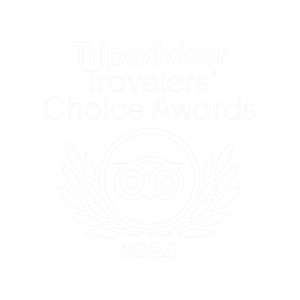 Trip Advisor Surf Instruction Award