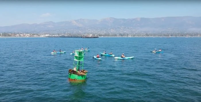 Group surfing lessons for beginners at Santa Barbara Surf School, enjoying beautiful ocean views.